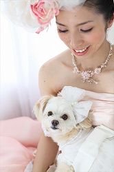 結婚式の花嫁の、カクテルドレスで、きれいなヘアメイクの写真